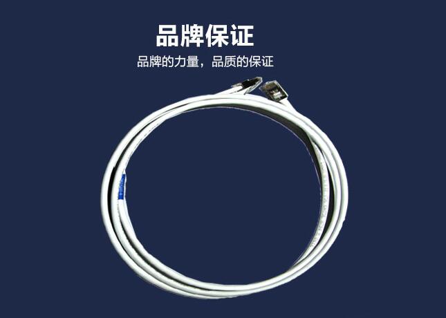 AMP屏蔽超5類跳線_超五類純銅網(wǎng)線